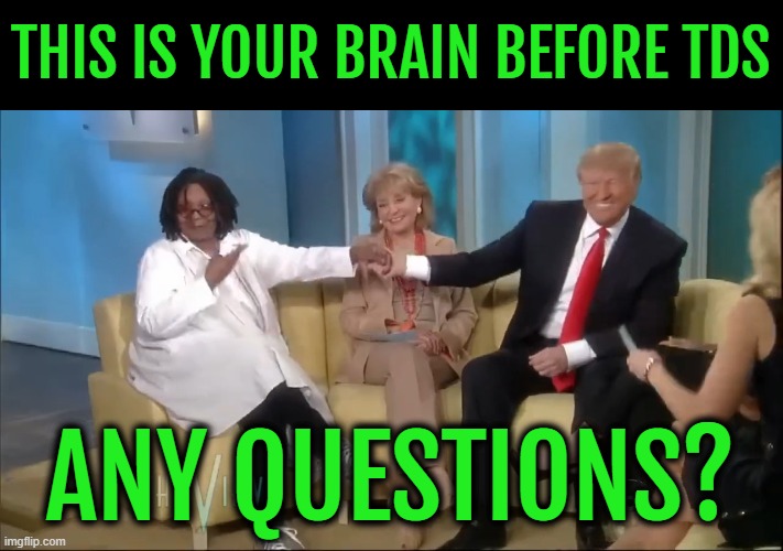 They Loved Him Before He Won | THIS IS YOUR BRAIN BEFORE TDS; ANY QUESTIONS? | image tagged in whoopi,trump,view,love | made w/ Imgflip meme maker