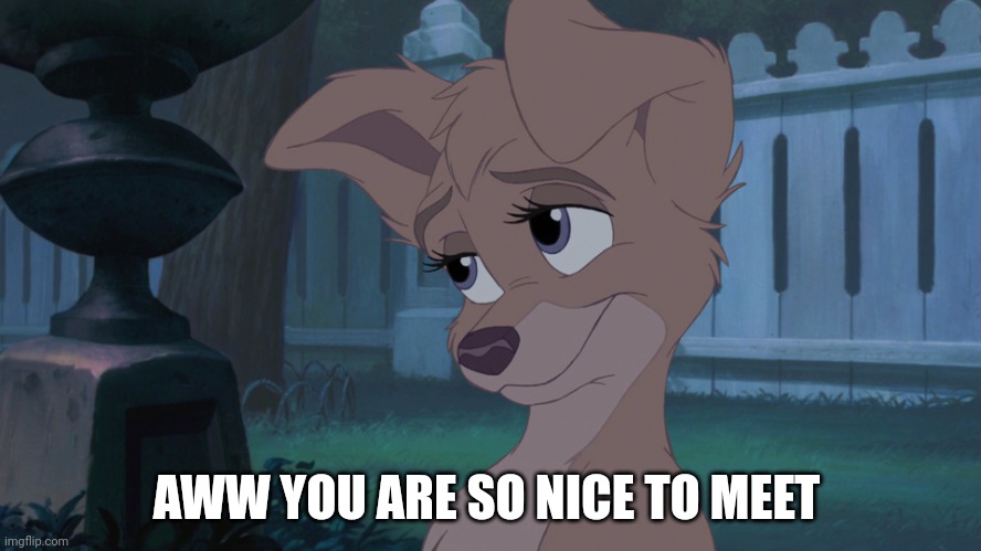 You Are So Nice | AWW YOU ARE SO NICE TO MEET | image tagged in lady and the tramp 2 | made w/ Imgflip meme maker