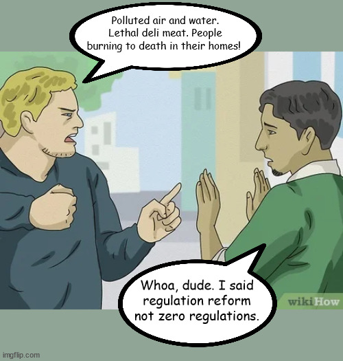 Regulation Reform is Good for America | Polluted air and water. Lethal deli meat. People burning to death in their homes! Whoa, dude. I said regulation reform not zero regulations. | image tagged in political meme | made w/ Imgflip meme maker