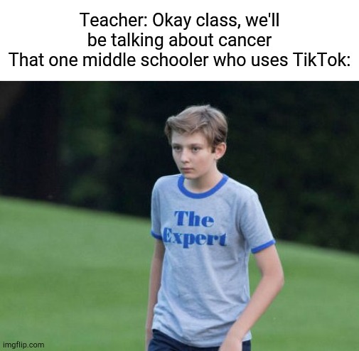 Like a Pro | Teacher: Okay class, we'll be talking about cancer
That one middle schooler who uses TikTok: | image tagged in the expert | made w/ Imgflip meme maker