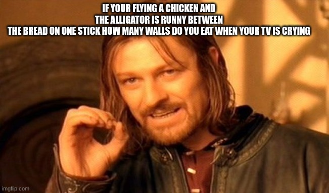 One Does Not Simply | IF YOUR FLYING A CHICKEN AND THE ALLIGATOR IS RUNNY BETWEEN THE BREAD ON ONE STICK HOW MANY WALLS DO YOU EAT WHEN YOUR TV IS CRYING | image tagged in memes,one does not simply | made w/ Imgflip meme maker