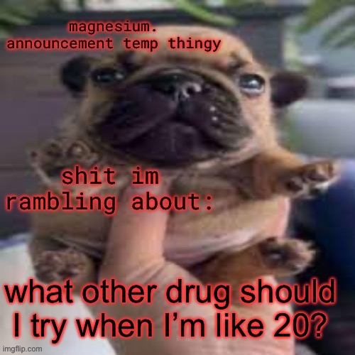 pug temp | what other drug should I try when I’m like 20? | image tagged in pug temp | made w/ Imgflip meme maker