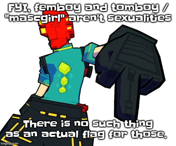 As a tomboy I'm fu​cking saying that | FYI, femboy and tomboy / "mascgirl" aren't sexualities; There is no such thing as an actual flag for those. | image tagged in red | made w/ Imgflip meme maker