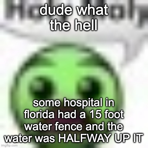 i cant stand in that D: | dude what the hell; some hospital in florida had a 15 foot water fence and the water was HALFWAY UP IT | image tagged in holy moly | made w/ Imgflip meme maker