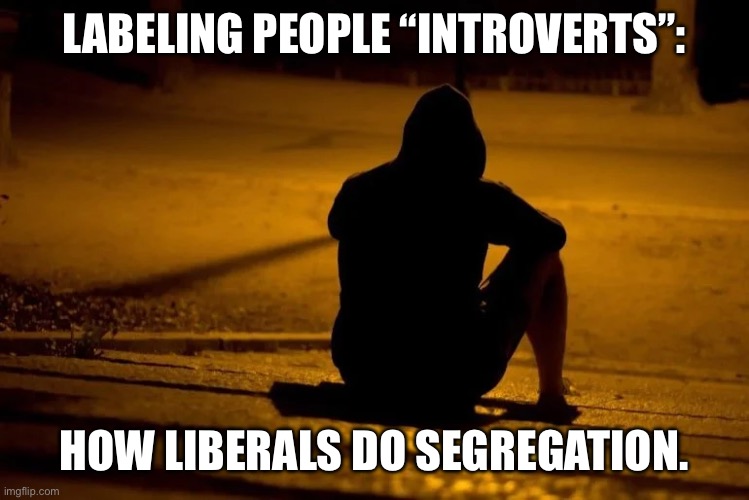 LABELING PEOPLE “INTROVERTS”:; HOW LIBERALS DO SEGREGATION. | made w/ Imgflip meme maker