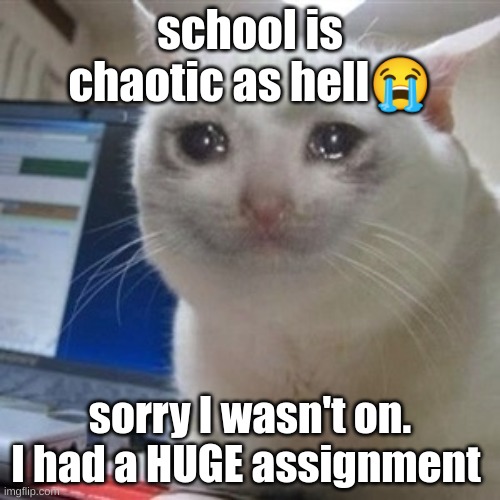 Crying cat | school is chaotic as hell😭; sorry I wasn't on. I had a HUGE assignment | image tagged in crying cat | made w/ Imgflip meme maker