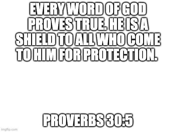 EVERY WORD OF GOD PROVES TRUE. HE IS A SHIELD TO ALL WHO COME TO HIM FOR PROTECTION. PROVERBS 30:5 | image tagged in bible verse | made w/ Imgflip meme maker