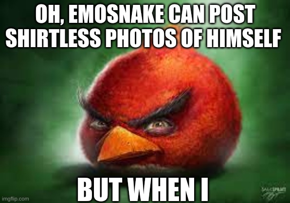 Realistic Red Angry Birds | OH, EMOSNAKE CAN POST SHIRTLESS PHOTOS OF HIMSELF; BUT WHEN I | image tagged in realistic red angry birds | made w/ Imgflip meme maker