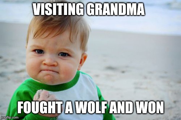 Red riding hood ve like | VISITING GRANDMA; FOUGHT A WOLF AND WON | image tagged in memes,success kid original | made w/ Imgflip meme maker