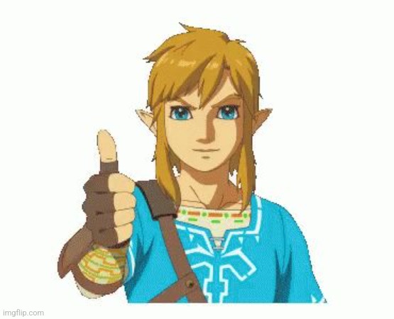 Link Thumbs Up | image tagged in link thumbs up | made w/ Imgflip meme maker