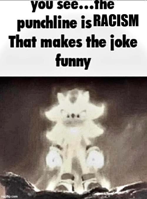 Shadow explains the joke | RACISM | image tagged in shadow explains the joke | made w/ Imgflip meme maker