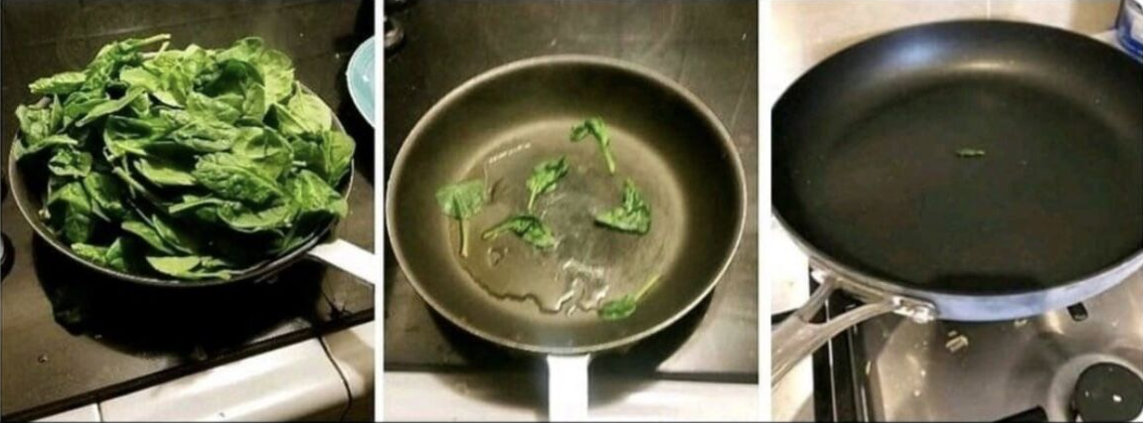 High Quality Cooking Spinach Blank Meme Template