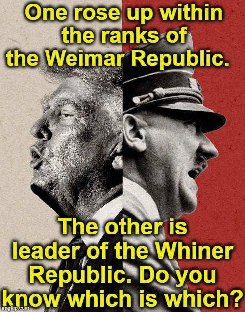 tRump Vs. Hitler | One rose up within the ranks of the Weimar Republic. The other is leader of the Whiner Republic. Do you know which is which? | image tagged in trump,hitler,maga,donald trump approves,nevertrump meme,nazis | made w/ Imgflip meme maker