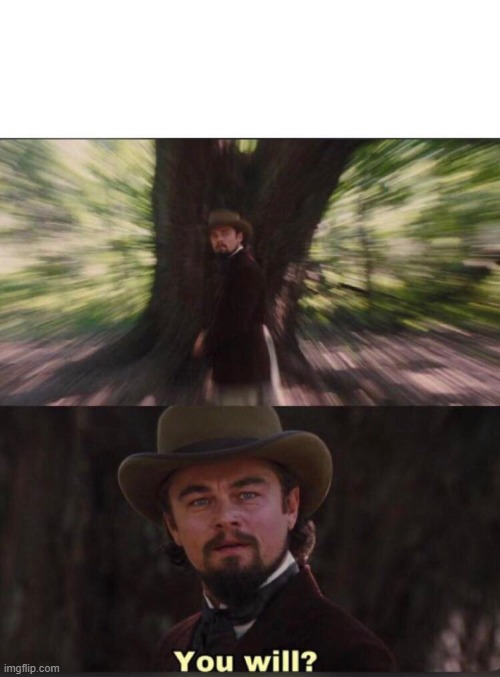 You will? Leonardo, django | image tagged in you will leonardo django | made w/ Imgflip meme maker