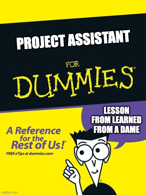 For dummies book | PROJECT ASSISTANT; LESSON FROM LEARNED FROM A DAME | image tagged in for dummies book | made w/ Imgflip meme maker