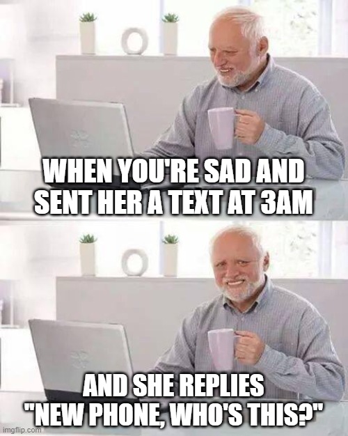 Sad life of a Lover | WHEN YOU'RE SAD AND SENT HER A TEXT AT 3AM; AND SHE REPLIES "NEW PHONE, WHO'S THIS?" | image tagged in memes,hide the pain harold,lovers,sad but true,not funny,girlfriend | made w/ Imgflip meme maker