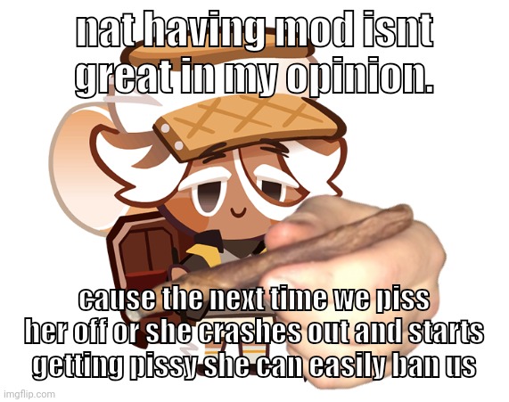im not jealous im just stating possibly factual statements | nat having mod isnt great in my opinion. cause the next time we piss her off or she crashes out and starts getting pissy she can easily ban us | image tagged in smore cookie with a blunt | made w/ Imgflip meme maker