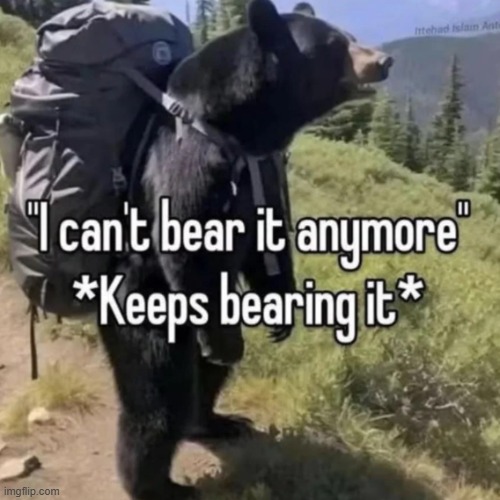 bear bearing | image tagged in bear bearing | made w/ Imgflip meme maker