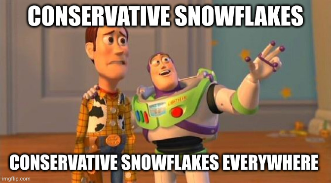 TOYSTORY EVERYWHERE | CONSERVATIVE SNOWFLAKES; CONSERVATIVE SNOWFLAKES EVERYWHERE | image tagged in toystory everywhere | made w/ Imgflip meme maker