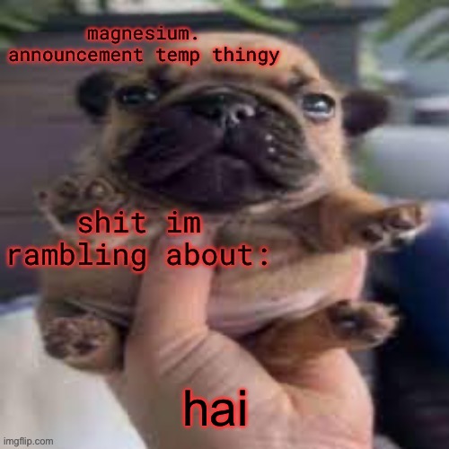 pug temp | hai | image tagged in pug temp | made w/ Imgflip meme maker