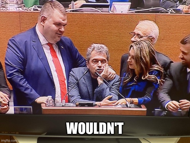 Wouldn’t | WOULDN'T | image tagged in parliament,taiwan | made w/ Imgflip meme maker