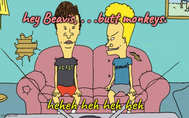 Beavis and Butthead | hey Beavis, . . .butt monkeys. heheh heh heh heh | image tagged in beavis and butthead | made w/ Imgflip meme maker