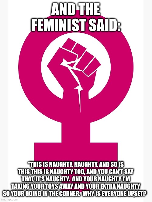 AND THE FEMINIST SAID:; “THIS IS NAUGHTY, NAUGHTY, AND SO IS THIS THIS IS NAUGHTY TOO, AND YOU CAN’T SAY THAT, IT’S NAUGHTY.  AND YOUR NAUGHTY I’M TAKING YOUR TOYS AWAY AND YOUR EXTRA NAUGHTY SO YOUR GOING IN THE CORNER.  WHY IS EVERYONE UPSET? | made w/ Imgflip meme maker