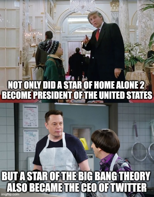 Funny how Hollywood stars become to lead even more successful careers | NOT ONLY DID A STAR OF HOME ALONE 2 
BECOME PRESIDENT OF THE UNITED STATES; BUT A STAR OF THE BIG BANG THEORY 
ALSO BECAME THE CEO OF TWITTER | image tagged in donald trump,elon musk,home alone,the big bang theory,celebrities,hollywood | made w/ Imgflip meme maker