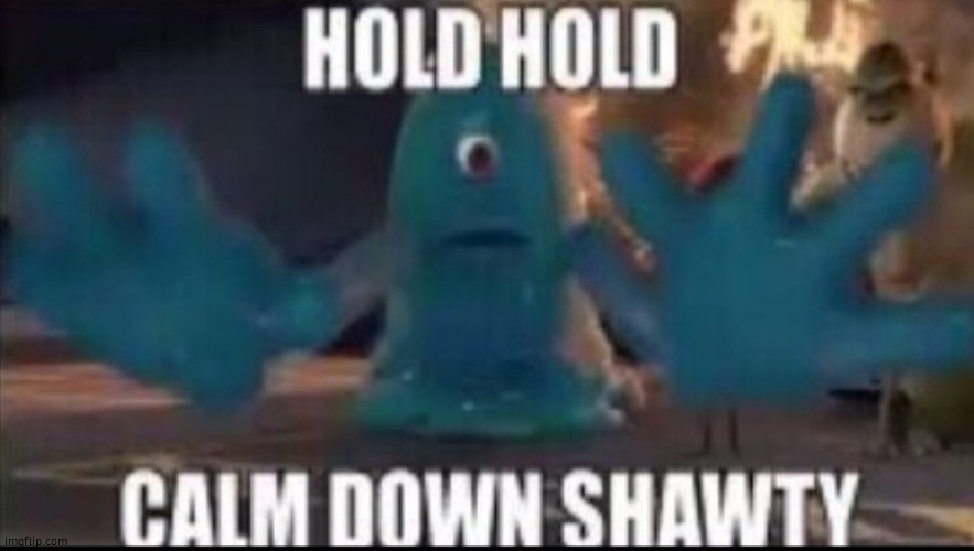 Calm down shawty | image tagged in calm down shawty | made w/ Imgflip meme maker