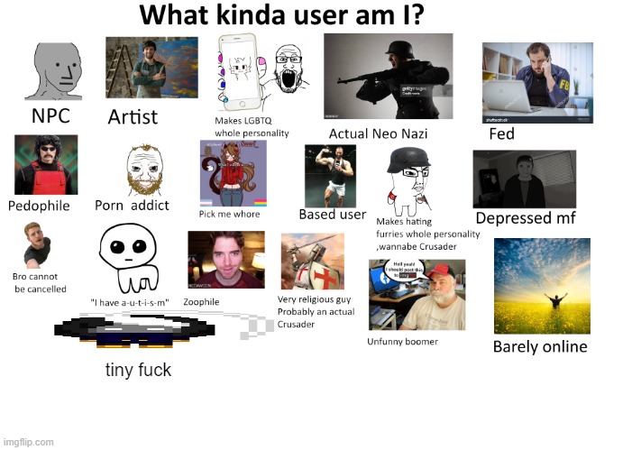 which one (you can use multiple) | tiny fuck | image tagged in what kinda user am i by neko | made w/ Imgflip meme maker