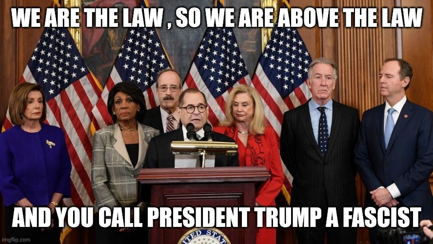 House Democrats | WE ARE THE LAW , SO WE ARE ABOVE THE LAW AND YOU CALL PRESIDENT TRUMP A FASCIST | image tagged in house democrats | made w/ Imgflip meme maker