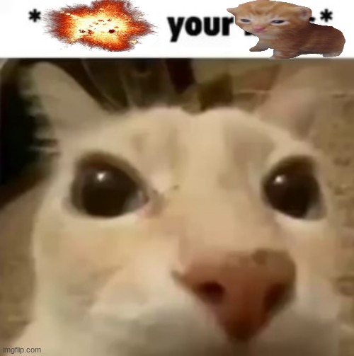 teehee | made w/ Imgflip meme maker