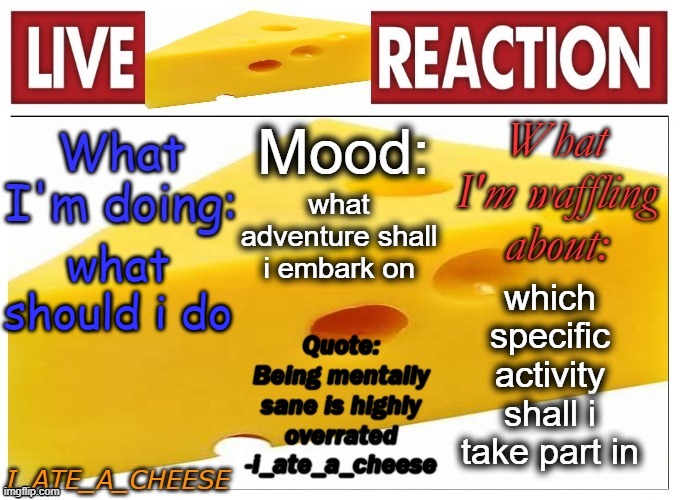 . | what adventure shall i embark on; what should i do; which specific activity shall i take part in | made w/ Imgflip meme maker