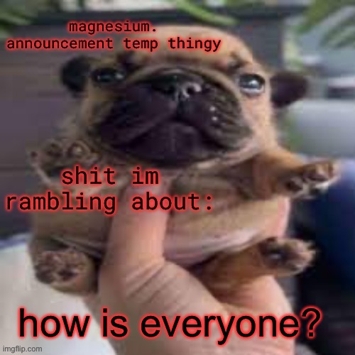 pug temp | how is everyone? | image tagged in pug temp | made w/ Imgflip meme maker