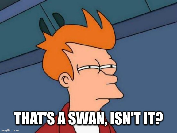 Futurama Fry Meme | THAT'S A SWAN, ISN'T IT? | image tagged in memes,futurama fry | made w/ Imgflip meme maker