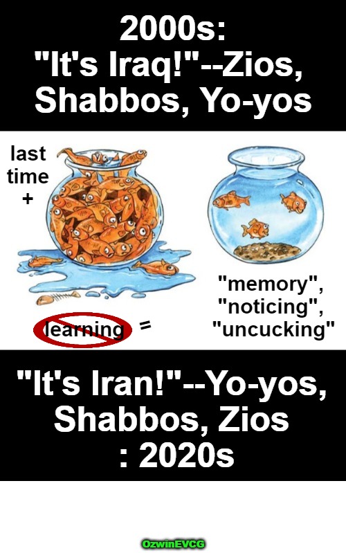 Recent history and war(mongering) share rhyme schemes--for folks who care about peace and truth. | 2000s:

"It's Iraq!"--Zios, 

Shabbos, Yo-yos; last 

time 

+; "memory", 

"noticing", 

"uncucking"; =; learning; "It's Iran!"--Yo-yos, 

Shabbos, Zios 

: 2020s; OzwinEVCG | image tagged in goldfish bowls,greatest ally,israel,repetition,iraq,iran | made w/ Imgflip meme maker