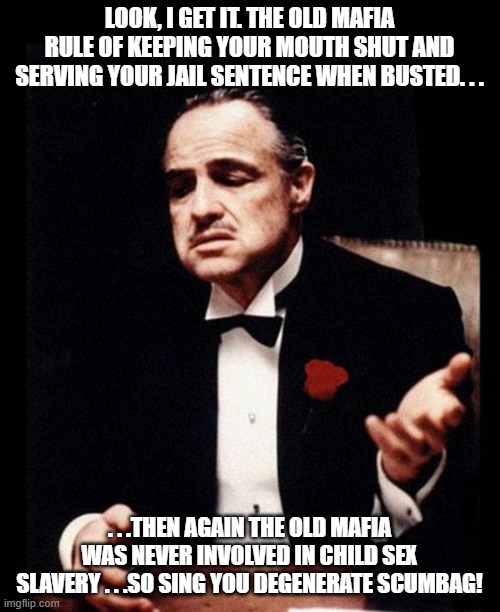 godfather | LOOK, I GET IT. THE OLD MAFIA RULE OF KEEPING YOUR MOUTH SHUT AND SERVING YOUR JAIL SENTENCE WHEN BUSTED. . . . . .THEN AGAIN THE OLD MAFIA  | image tagged in godfather | made w/ Imgflip meme maker