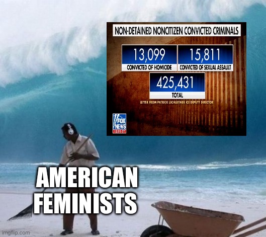 Beach Man Wave Tsunami Ignoring | AMERICAN FEMINISTS | image tagged in beach man wave tsunami ignoring,illegal immigration,politics,political meme | made w/ Imgflip meme maker