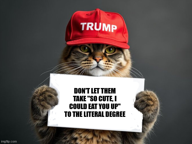 Trump cat | DON'T LET THEM TAKE "SO CUTE, I COULD EAT YOU UP" TO THE LITERAL DEGREE | image tagged in trump cat | made w/ Imgflip meme maker