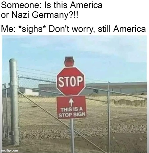 Someone: Is this America 
or Nazi Germany?!! Me: *sighs* Don't worry, still America | image tagged in funny,america | made w/ Imgflip meme maker