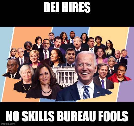 dei hires | DEI HIRES; NO SKILLS BUREAU FOOLS | image tagged in biden's cabinet | made w/ Imgflip meme maker