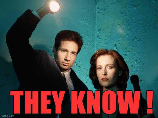 X files | THEY KNOW ! | image tagged in x files | made w/ Imgflip meme maker