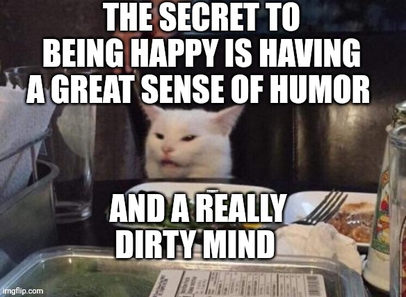 Smudge that darn cat | THE SECRET TO BEING HAPPY IS HAVING A GREAT SENSE OF HUMOR; AND A REALLY DIRTY MIND | image tagged in smudge that darn cat | made w/ Imgflip meme maker