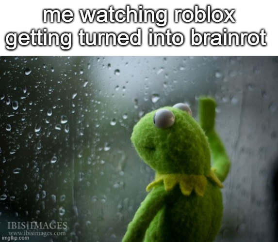 i remember playing roblox in 2013, those were the good days | me watching roblox getting turned into brainrot | image tagged in kermit window,memes,roblox,gen alpha,why are you reading the tags,oh wow are you actually reading these tags | made w/ Imgflip meme maker