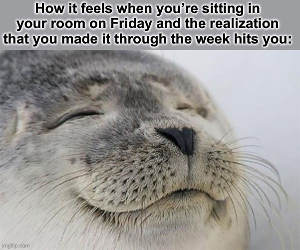 Relief | How it feels when you’re sitting in your room on Friday and the realization that you made it through the week hits you: | image tagged in memes,satisfied seal,relatable,school | made w/ Imgflip meme maker