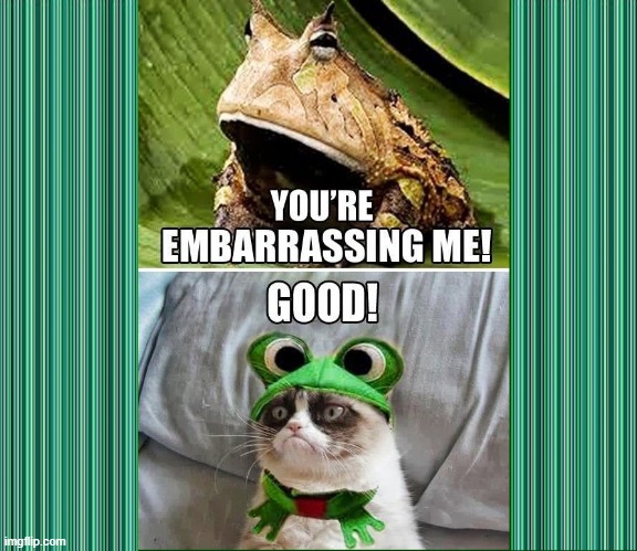 Grumpy Cat's Appropriates a Frog Costume for Halloween | image tagged in vince vance,grumpy cat,frog,costume,embarrassing,cultural appropriation | made w/ Imgflip meme maker