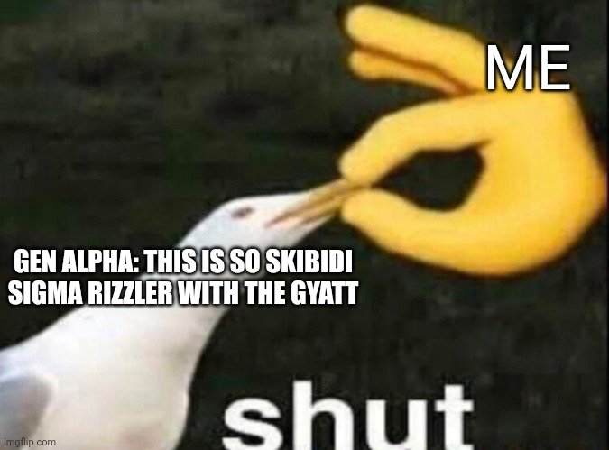 SHUT | ME; GEN ALPHA: THIS IS SO SKIBIDI SIGMA RIZZLER WITH THE GYATT | image tagged in shut | made w/ Imgflip meme maker