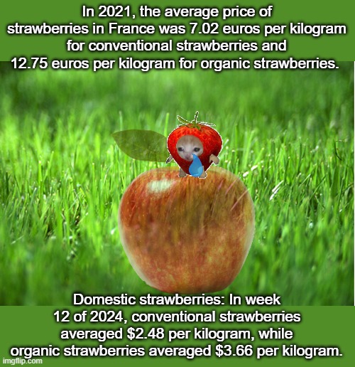 grass is greener | In 2021, the average price of strawberries in France was 7.02 euros per kilogram for conventional strawberries and 12.75 euros per kilogram  | image tagged in grass is greener | made w/ Imgflip meme maker