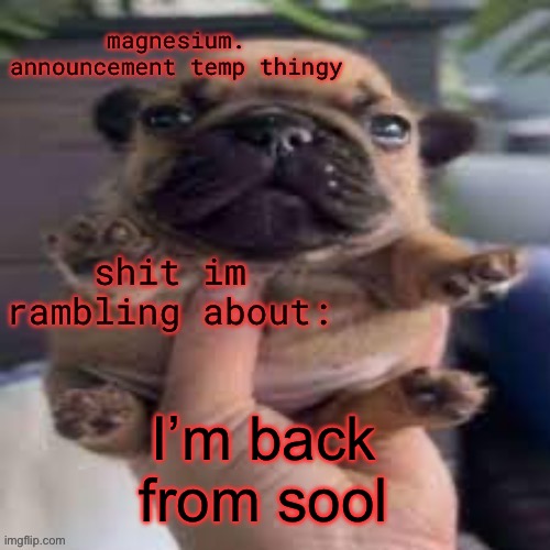 pug temp | I’m back from sool | image tagged in pug temp | made w/ Imgflip meme maker