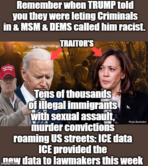 You seen & heard enough yet ? | Remember when TRUMP told you they were leting Criminals in & MSM & DEMS called him racist. Tens of thousands of illegal immigrants with sexual assault, murder convictions roaming US streets: ICE data
ICE provided the new data to lawmakers this week; TRAITOR'S | made w/ Imgflip meme maker